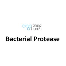 Bacterial Protease - 100g